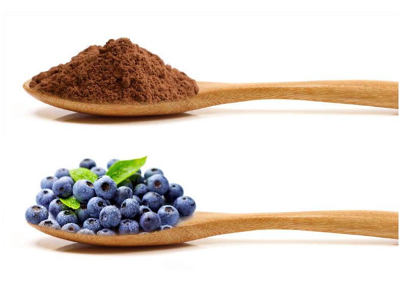 Cocoa Flavanols