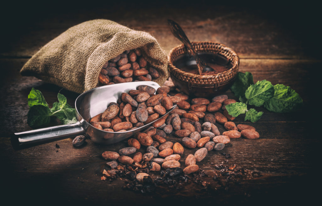 5 Cocoa Flavanol Studies to Watch in 2020 Cocoa FlavaBlog